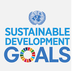 SDG logo