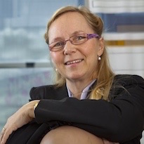 Dr Astrid Linder, Gender Summit 6 Asia Pacific Speaker Dr Astrid Linder, Gender Summit 6 Asia Pacific Speaker