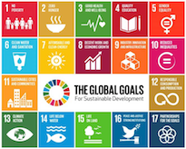 Sustainable Development Goals logo