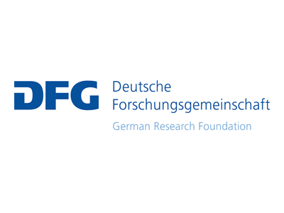 dfg web