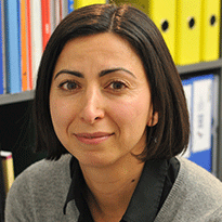 Shirin Heidari, Gender Summit 7 Eu Speaker Shirin Heidari, Gender Summit 7 Eu Speaker
